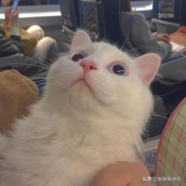 倚天屠龙记邓超版在线观看（倚天屠龙记邓超在线观看下载）