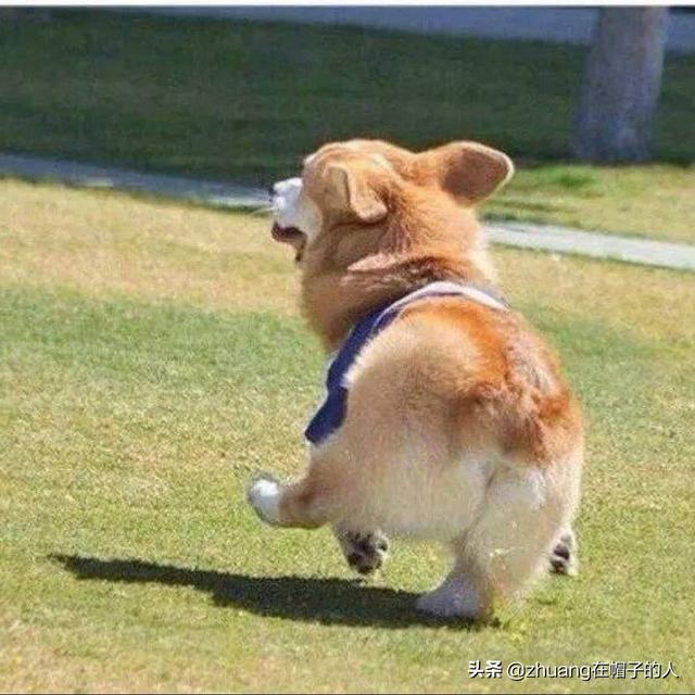 秦始皇活了多少岁(秦始皇活了多少岁寿命)