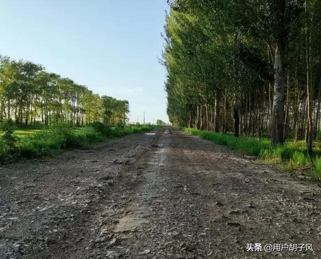 散文朗诵（散文朗诵作品大全）