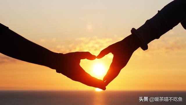 女人的抉择2电视剧免费全集播放