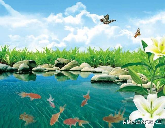 黑夜过后电影（黑夜过后电影ivo）