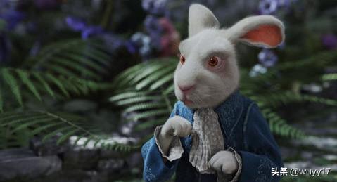 爱丽丝梦游仙境症（爱丽丝梦游仙境症候群）