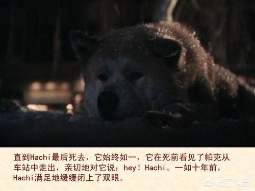 超级感人哭瞎电影（感人泪奔电影大全）