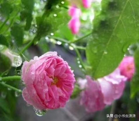 授课到天亮第二季(授课到天亮第二季更新时间)