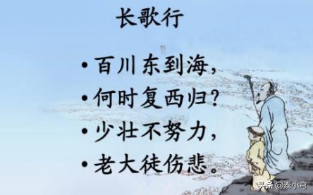 长歌行汉乐府古诗解释（长歌行汉乐府这首古诗）